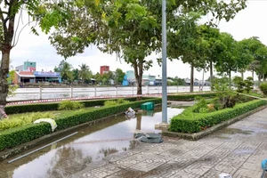 TP.HCM rà soát toàn diện hệ thống chiếu sáng, tủ điện... đề phòng rò rỉ điện